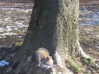 ny 187